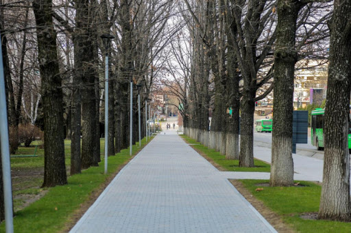 Almaty kóshelerine kópjyldyq gúlder egiledi