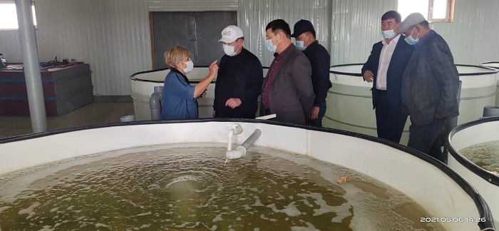 Qazalyda balyq sharýashylyǵyn damytý qolǵa alyndy