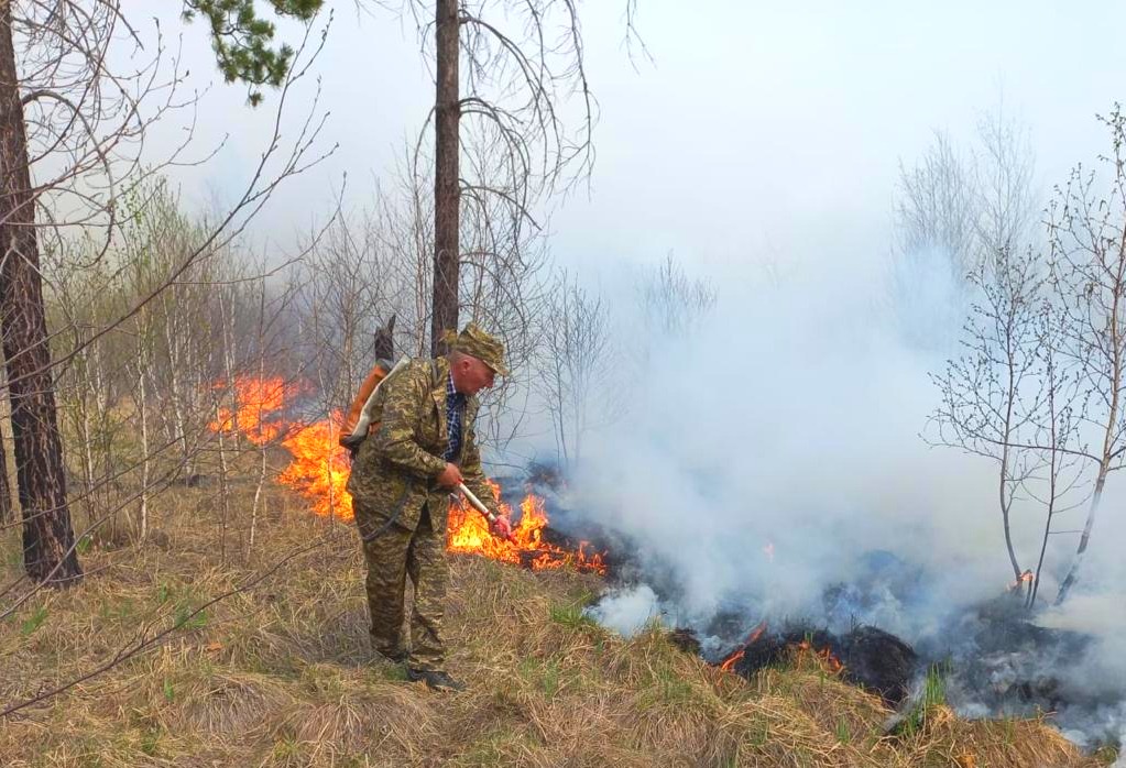 Shyǵys Qazaqstanda ormandy órt shaldy