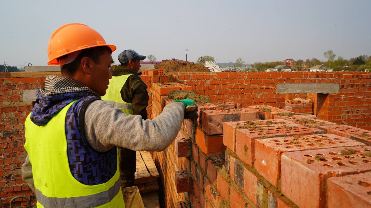 Jańarǵan ólkedegi jasampaz tirshilik