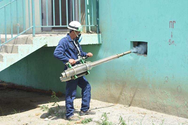 Atyraýda masany ýlaýǵa 126 mln teńge bólindi