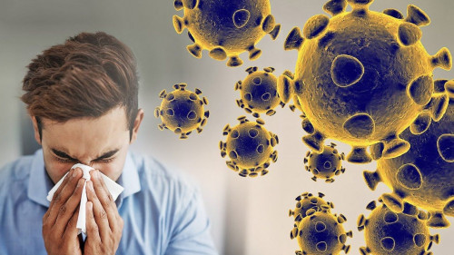 Salaýatty ómir salty aǵzanyń ınfeksııaǵa tózimdiligin arttyrady – Epıdemıolog