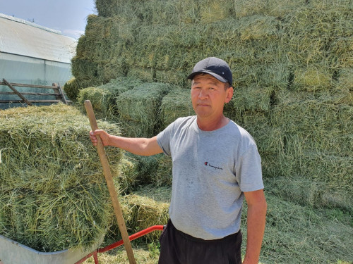 Memleket bergen múmkindikti múlt jibermeý kerek