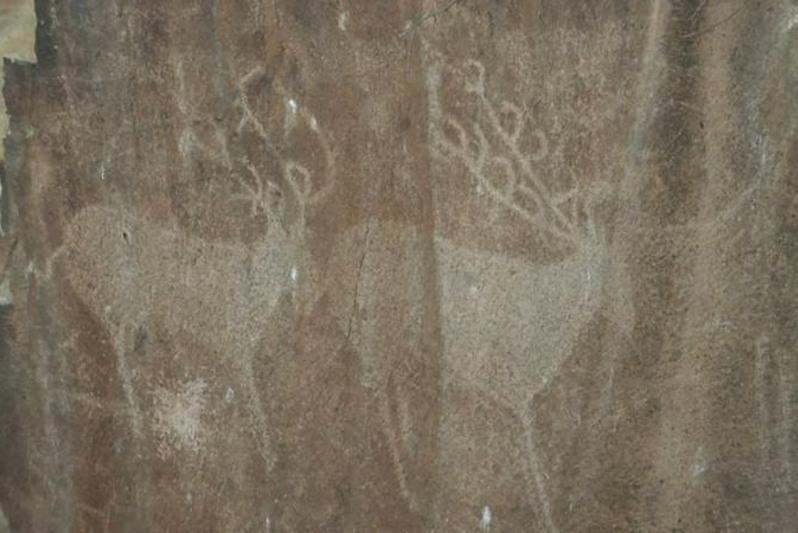 Arqarly asýyndaǵy petroglıfterdi saqtaý memlekettik organdardyń baqylaýyna alyndy