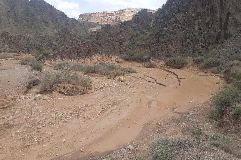 Sharyn shatqalynda selmen aǵyp ketken oqýshy qyz tabyldy