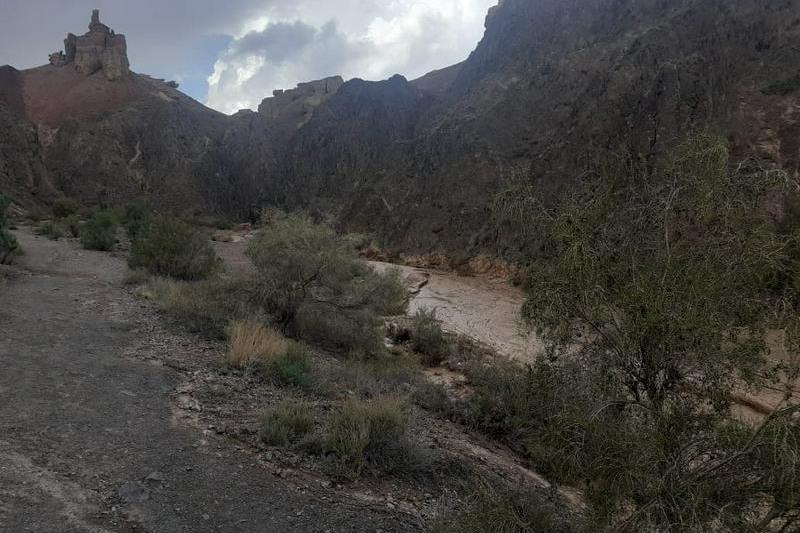 Sharyndaǵy sel: 11 jasar oqýshy oqıǵanyń mán-jaıyn baıandady