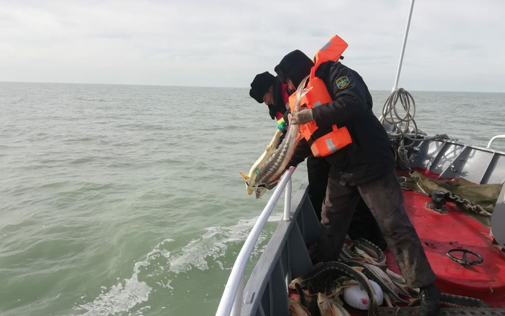 «Bekire» aksııasy Memleketke 9 mlrd teńge zalal keltirýdiń aldyn aldy