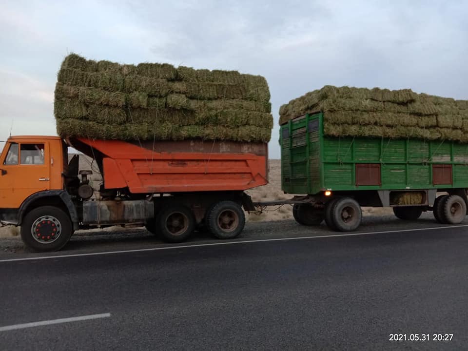 Araldaǵy sharýashylyqtarǵa jem-shóp jetkizilýde