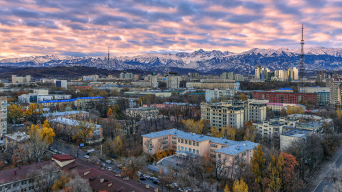 Almatynyń densaýlyq saqtaý júıesin sıfrlandyrý koronavırýspen kúresýge septesedi