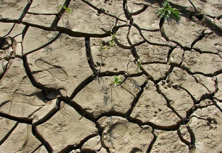 Qýańshylyq álemdi alańdatýda