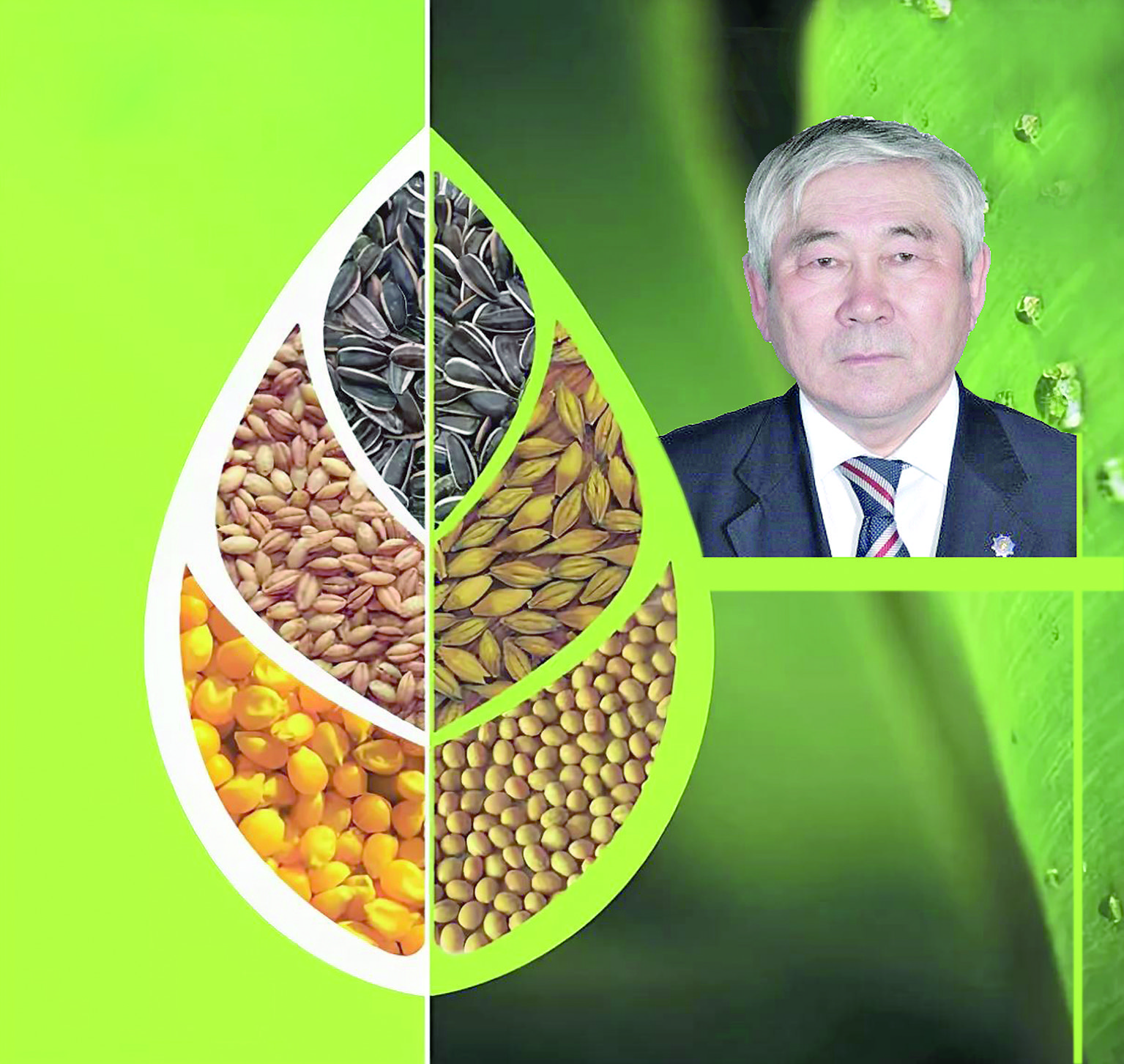 Ǵylymnyń qııa jolynda