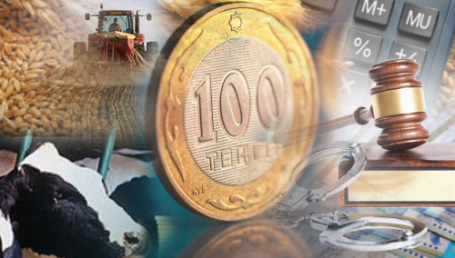 Sýbsıdııalaý: Ashyq jáne ádil júıe qajet