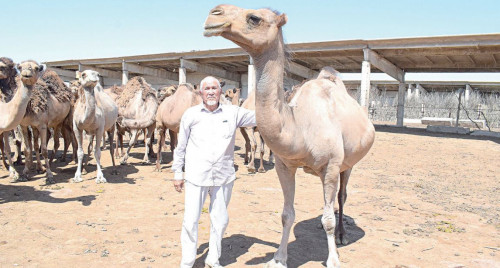 Sharýaǵa shynaıy kómek