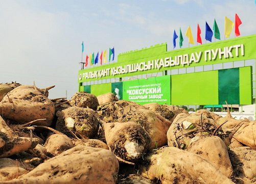 Qant óndirisiniń qaýqary qandaı?