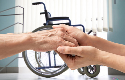 Jańa zań jobasy qamkóńil jandardyń talabyn qanaǵattandyra ma?