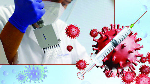 «Úndi» shtamy úreıli