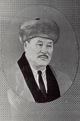 Jibek jippen toqylǵan portret
