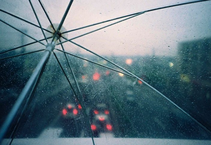 Jasandy jańbyr jaýdyrady