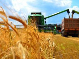 Agrosektordy qoldaý qarqyn alady