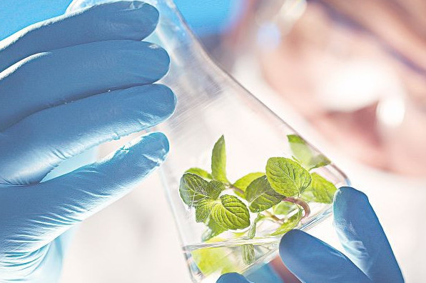 Bıootyn alýdyń tyń tásili