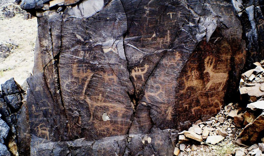 Dáýir dıdaryndaǵy dombyra