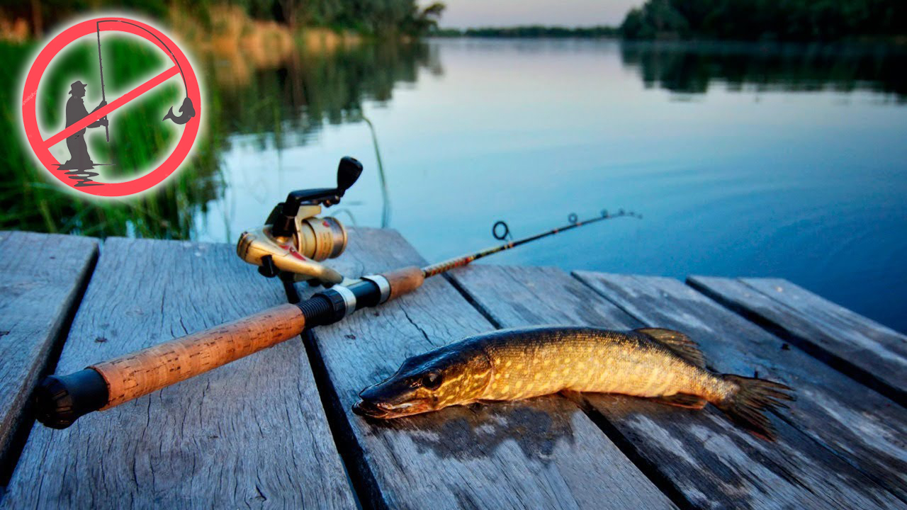 Balyq aýlaý – baqylaýda