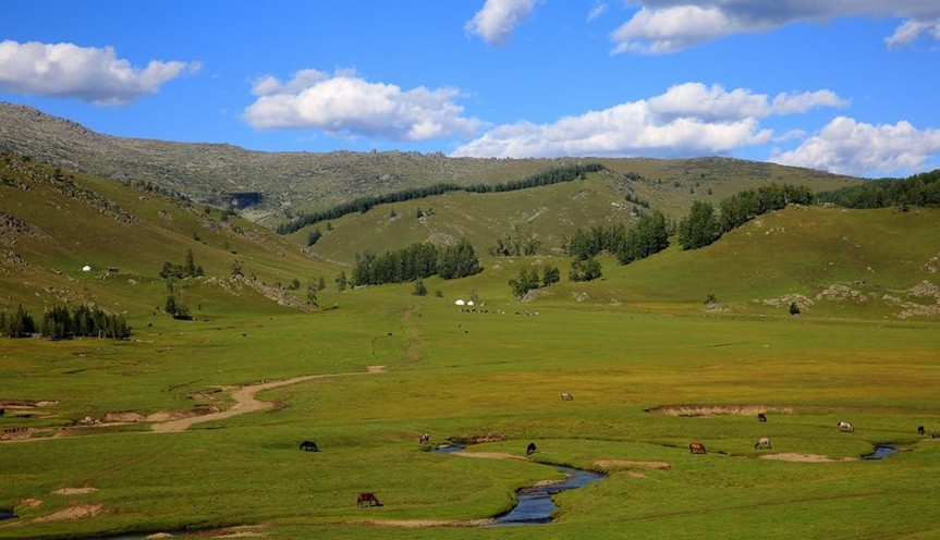 О́zekti máseleler sheshildi