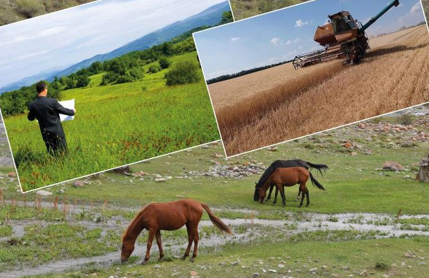 Kóleńkeli ekonomıkany  joıýǵa kómektesedi