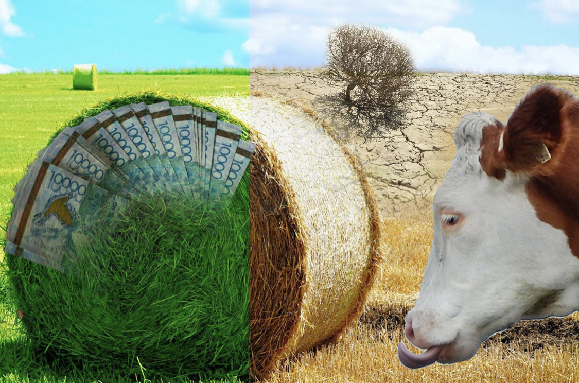 Mańǵystaýdyń muńy