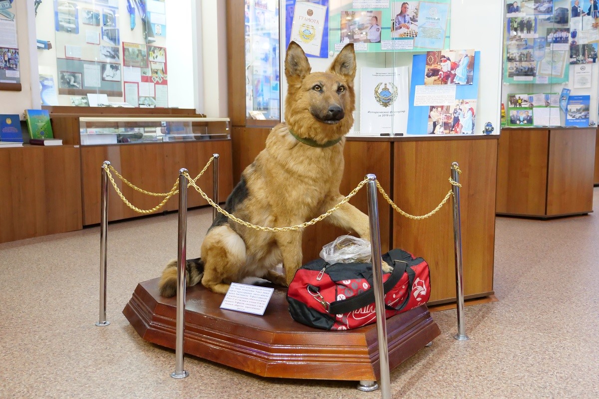 Polısııa tarıhynyń mýzeıi