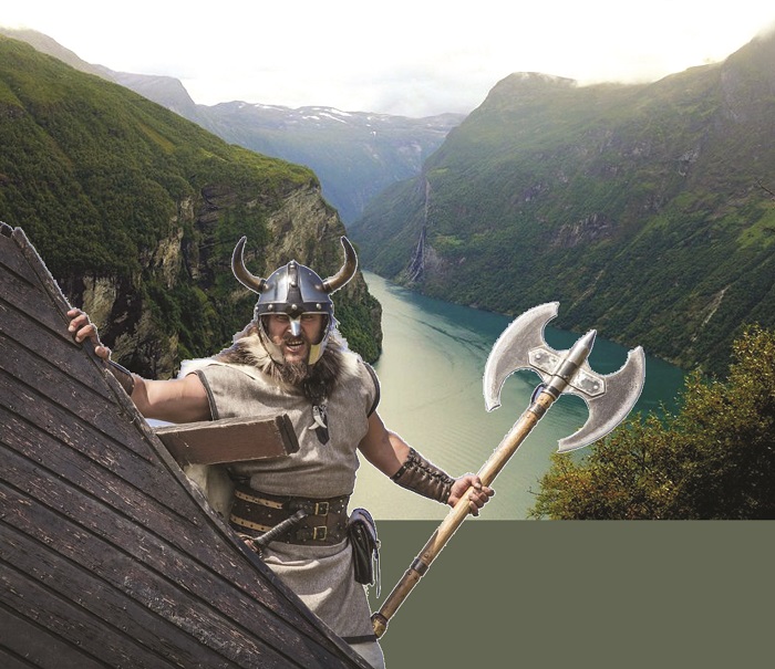 Vıkıngter nege shejireshil?