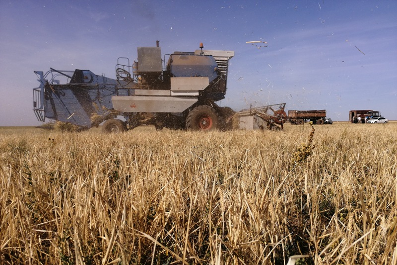 Batys Qazaqstanda1,5 jyldyq mal azyǵyn jınaý josparlandy