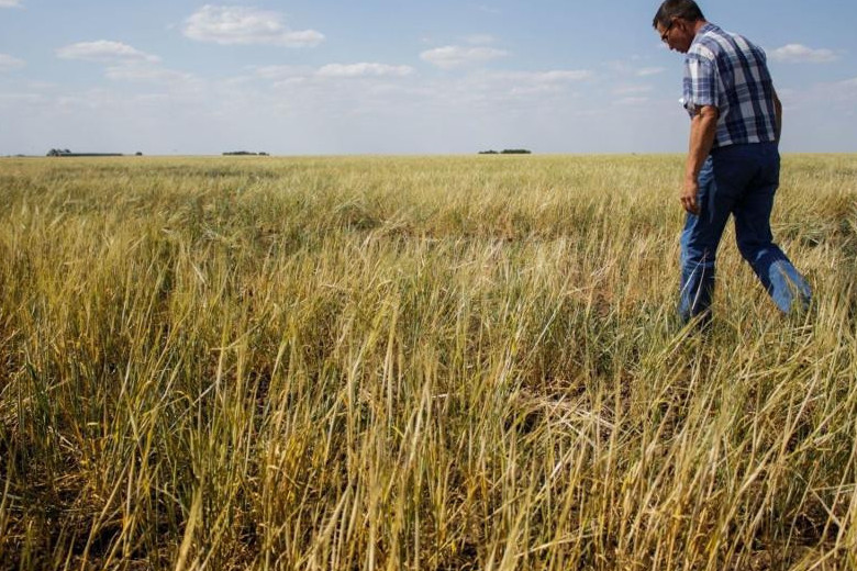 Qýańshylyqtyń aıaǵy molshylyqqa ulasar