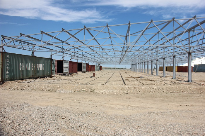 Jambyl aýdanynda medısınalyq buıymdarǵa qajetti shıkizat óndiriledi