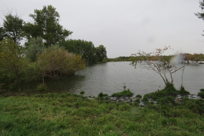 Aqtóbede bir kúnde úsh adam sýǵa ketti