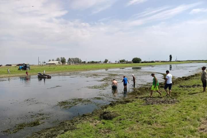 Atyraý oblysynda balyq qyryldy