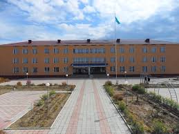 Mektep mańyndaǵy polısııa jasaǵynyń sany artady – IIM