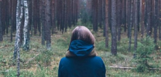 ShQO-da ormanda qalǵan jolaýshylar qutqaryldy