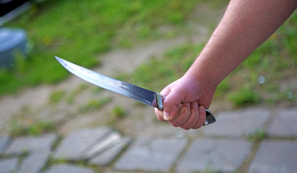 Jasóspirim ákesin telefonda oınaýǵa tyıym salǵany úshin pyshaqtady