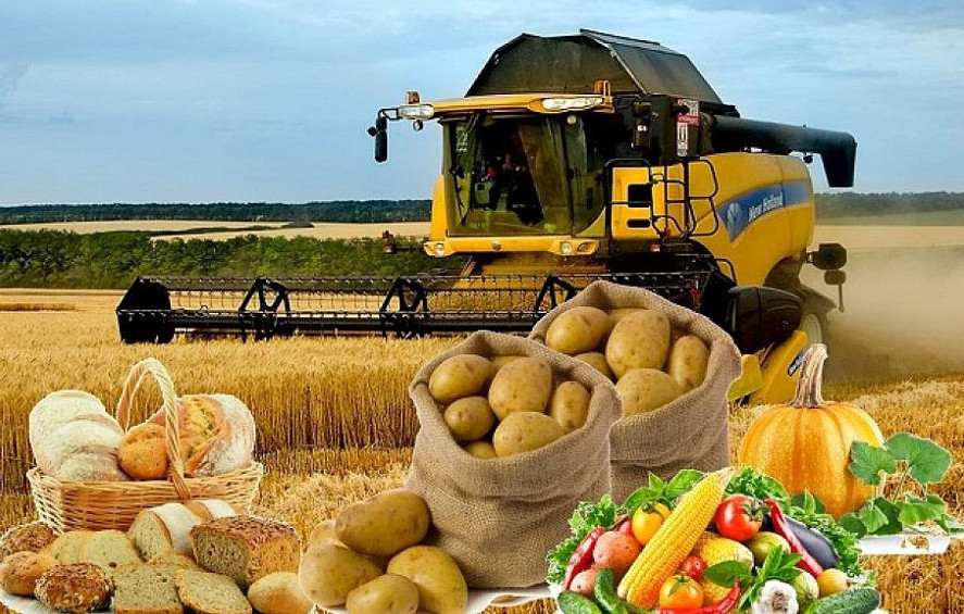 Agroónerkásip kesheni: Investısııa áleýeti