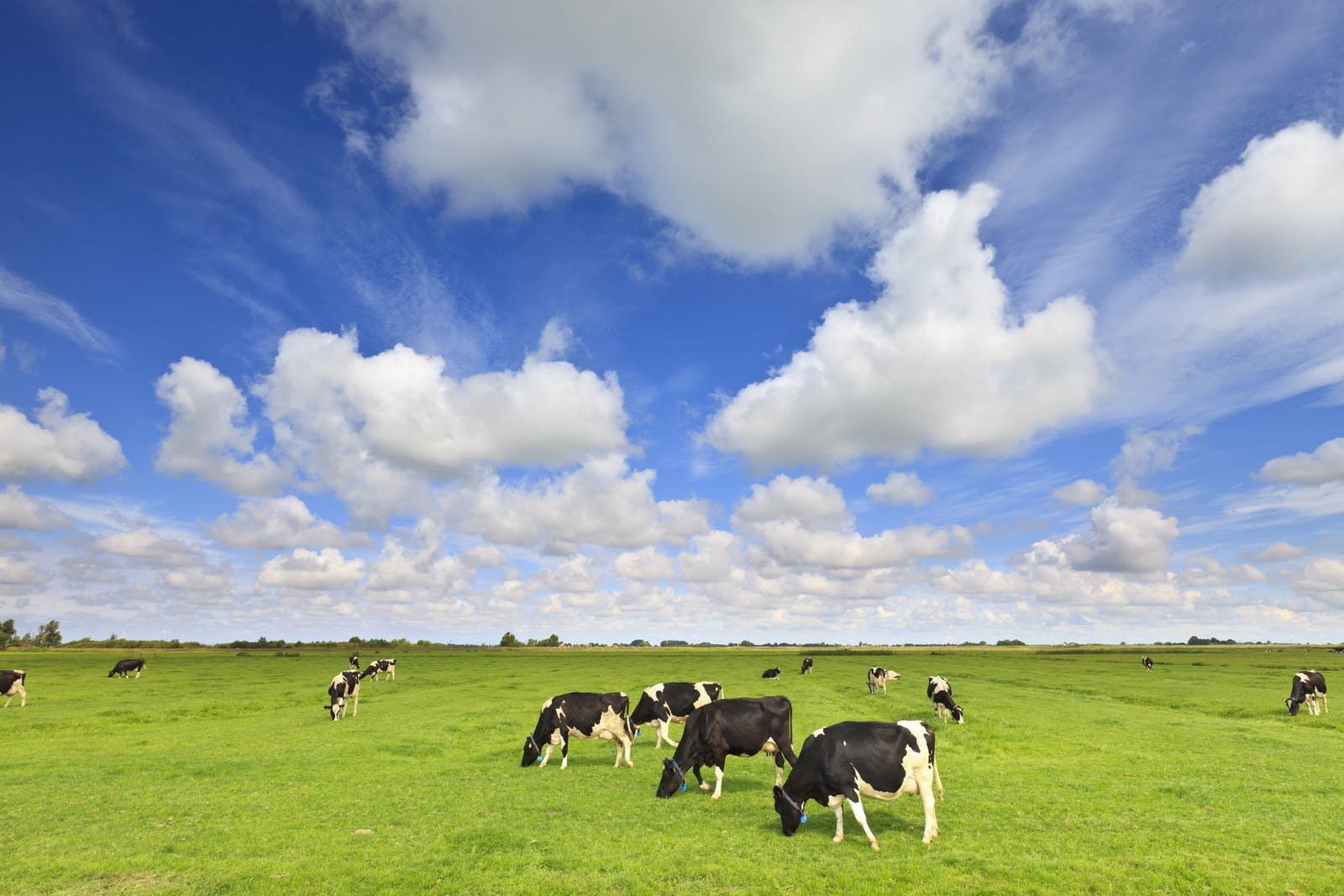 Jaıylymy joq aýyldyń jaıy múshkil