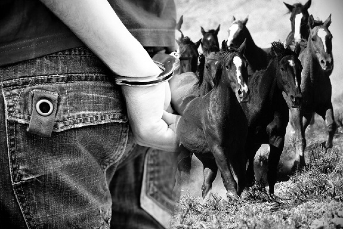 Mal urlyǵy mazany alyp tur