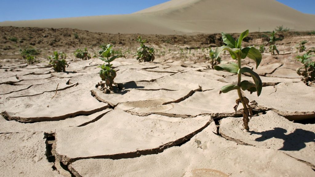 Fermerlerge qýańshylyqtan saqtandyrý tólemderi berilip jatyr - AShM