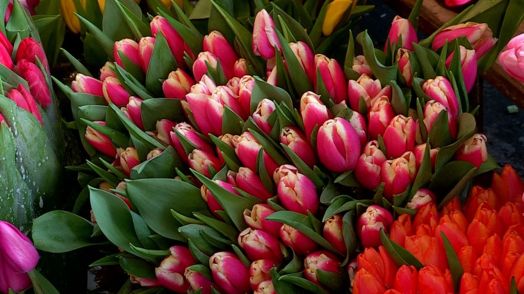 Nur-Sultanda tegin gúl taratqan dúken ıesi jaýapqa tartylady