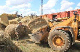 Teńizshiler fermerlerge kómek kórsetti