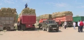 Mal sharýashylyǵyna qoldaý kórsetýde