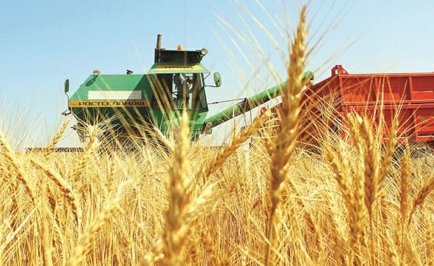 Astyqty ólkedegi ahýal