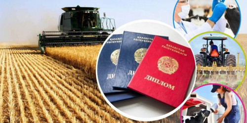 Jas mamandardy qoldaý jalǵasýda