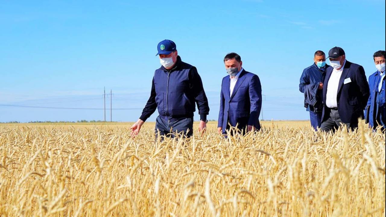 Asqar Mamın Aqmola oblysyndaǵy astyq jınaý naýqanyn tekserdi