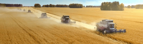 Tehnıka parkin jańartýǵa úles